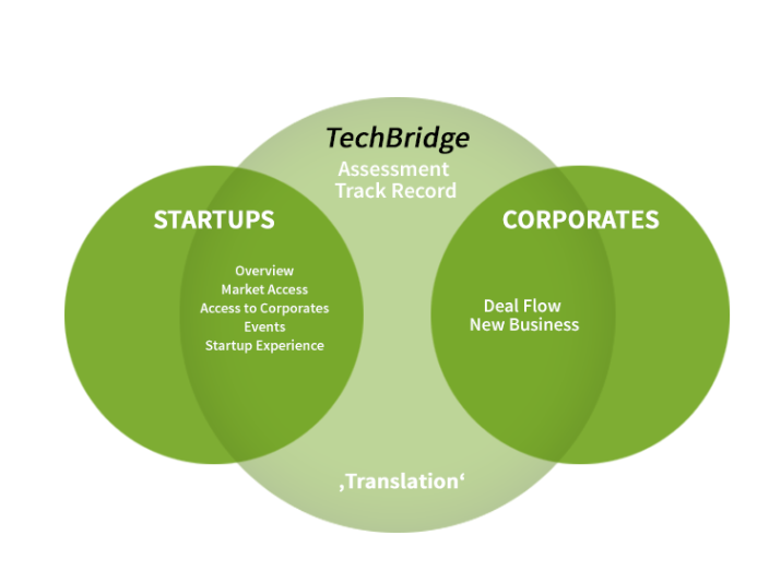 Startup Scouting Structure